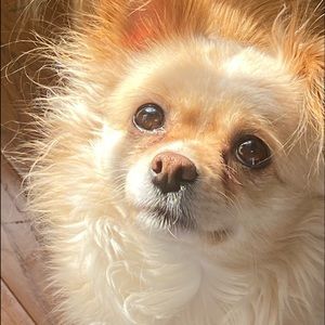 Meet your Posher, Caley